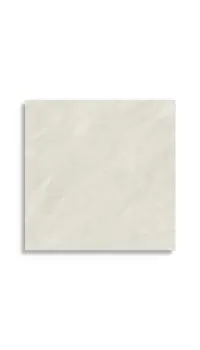 vloertegel Wit 120 x 120 | 764-237 | Jan Groen Tegels