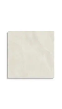 vloertegel Wit 60 x 60 | 798-308 | Jan Groen Tegels
