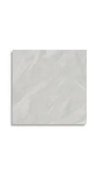 vloertegel Grijs 120 x 120 | 887-965 | Jan Groen Tegels