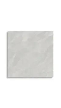 vloertegel Grijs 120 x 120 | 887-965 | Jan Groen Tegels