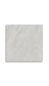 vloertegel Grijs 120 x 120 | 887-965 | Jan Groen Tegels