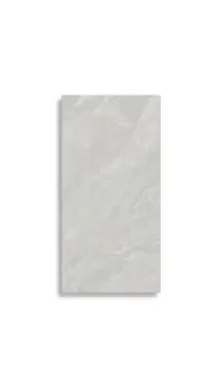 vloertegel Grijs 60 x 120 | 399-043 | Jan Groen Tegels