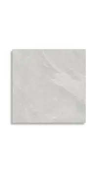 vloertegel Grijs 60 x 60 | 697-245 | Jan Groen Tegels