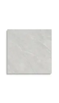 vloertegel Grijs 80 x 80 | 267-831 | Jan Groen Tegels