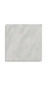 vloertegel Grijs 80 x 80 | 267-831 | Jan Groen Tegels