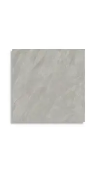 vloertegel Grijs 120 x 120 | 589-989 | Jan Groen Tegels