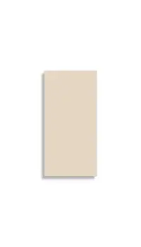 vloertegel Beige 30 x 60 | 641-980 | Jan Groen Tegels