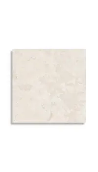 Vloertegel Aleluia Aurea Taupe 59,2 x 59,2 | 650-103 | Jan Groen Tegels