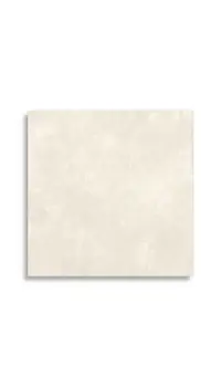 vloertegel Wit 80 x 80 | 955-431 | Jan Groen Tegels