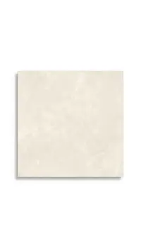 vloertegel Wit 80 x 80 | 955-431 | Jan Groen Tegels