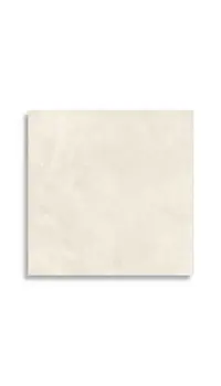 vloertegel Wit 80 x 80 | 955-431 | Jan Groen Tegels