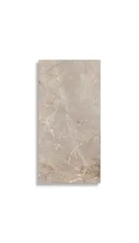 Vloertegel Rak Silver River Lapato 60 x 120 | 388-995 | Jan Groen Tegels