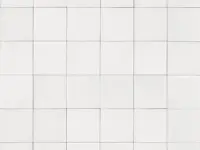 vloertegel Wit 20 x 20 | 255-333 | Jan Groen Tegels
