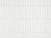 vloertegel Wit 5.3 x 30 | 811-221 | Jan Groen Tegels