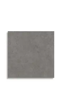 vloertegel Antraciet 60 x 60 | 085-924 | Jan Groen Tegels