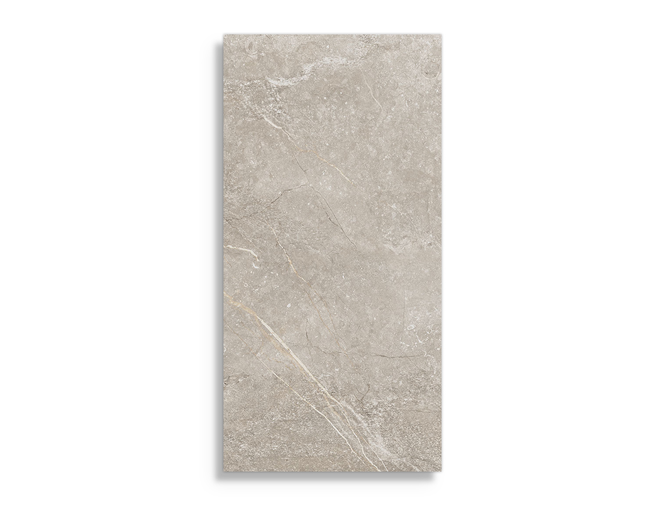 Vloertegels Arcana Betilo-R Taupe 60 x 120