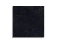 vloertegel Antraciet 60 x 60 | 899-481 | Jan Groen Tegels