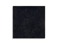 vloertegel Antraciet 60 x 60 | 899-481 | Jan Groen Tegels