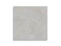 vloertegel Grijs 80 x 80 | 993-550 | Jan Groen Tegels