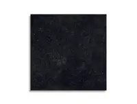 vloertegel Antraciet 80 x 80 | 302-297 | Jan Groen Tegels