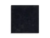 vloertegel Antraciet 80 x 80 | 302-297 | Jan Groen Tegels