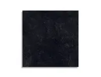 vloertegel Antraciet 80 x 80 | 302-297 | Jan Groen Tegels