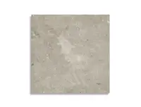 vloertegel Grijs 120 x 120 | 023-281 | Jan Groen Tegels