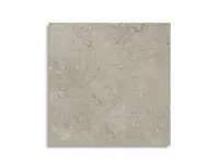 vloertegel Grijs 60 x 60 | 573-027 | Jan Groen Tegels
