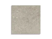 vloertegel Grijs 60 x 60 | 573-027 | Jan Groen Tegels