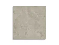 vloertegel Grijs 60 x 60 | 573-027 | Jan Groen Tegels