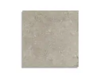 vloertegel Grijs 100 x 100 | 714-958 | Jan Groen Tegels