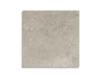 vloertegel Grijs 100 x 100 | 714-958 | Jan Groen Tegels