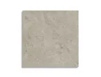 vloertegel Grijs 100 x 100 | 714-958 | Jan Groen Tegels