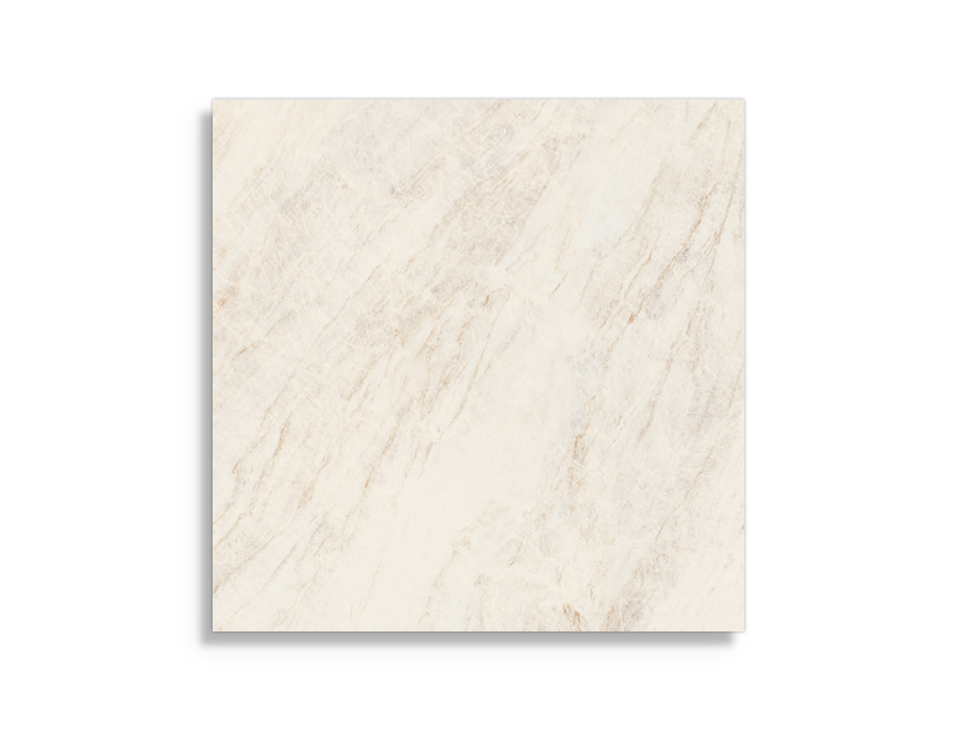 Vloertegels vtwonen Classic Oyster White 60 x 60