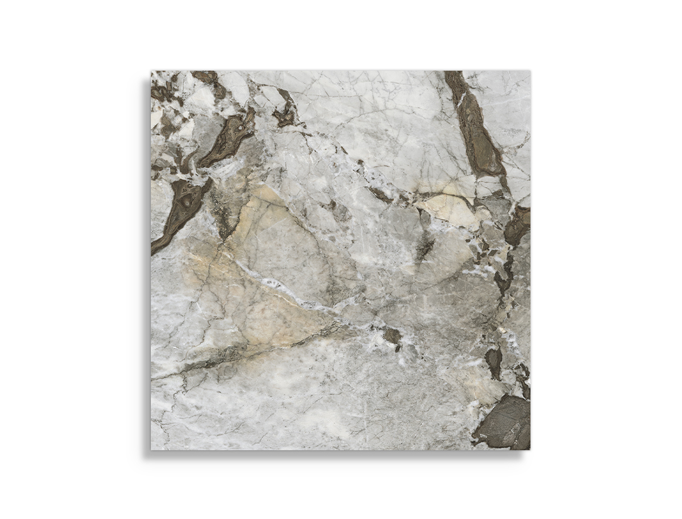 Vloertegels vtwonen Classic Calacatta Iron 120 x 120
