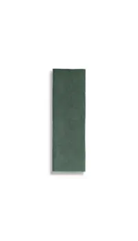 wandtegel Groen 6.5 x 20 | 989-877 | Jan Groen Tegels