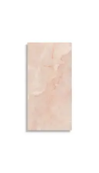 vloertegel Roze 60 x 120 | 666-544 | Jan Groen Tegels