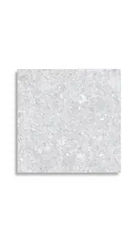 Tuintegels Pamesa Urbex Perla 20 mm 60 x 60 | 207-758 | Jan Groen Tegels