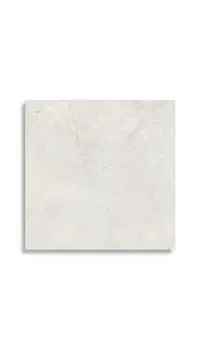 vloertegel Wit 60 x 60 | 666-540 | Jan Groen Tegels