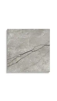 vloertegel Grijs 60 x 60 | 449-593 | Jan Groen Tegels