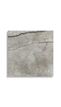 vloertegel Grijs 60 x 60 | 449-593 | Jan Groen Tegels