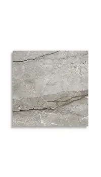 vloertegel Grijs 60 x 60 | 449-593 | Jan Groen Tegels