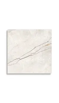 vloertegel Wit 60 x 60 | 841-988 | Jan Groen Tegels