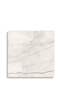 vloertegel Wit 60 x 60 | 841-988 | Jan Groen Tegels