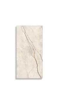 vloertegel Beige 60 x 120 | 695-738 | Jan Groen Tegels