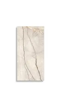 vloertegel Beige 60 x 120 | 695-738 | Jan Groen Tegels