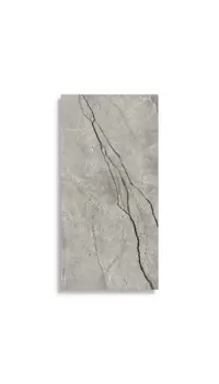 vloertegel Grijs 60 x 120 | 340-996 | Jan Groen Tegels