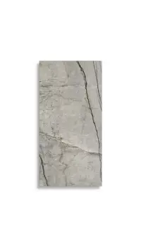 vloertegel Grijs 60 x 120 | 340-996 | Jan Groen Tegels