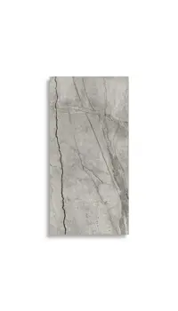 vloertegel Grijs 60 x 120 | 340-996 | Jan Groen Tegels