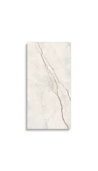 vloertegel Wit 60 x 120 | 875-001 | Jan Groen Tegels